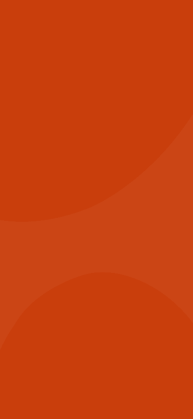 COORD Horse background